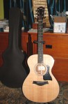 Taylor312e-stand